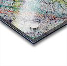 Regeneration Acrylic print