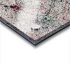 Exuberant Acrylic print