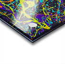 Mardi Gras Acrylic print