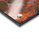 Autumn Acrylic print