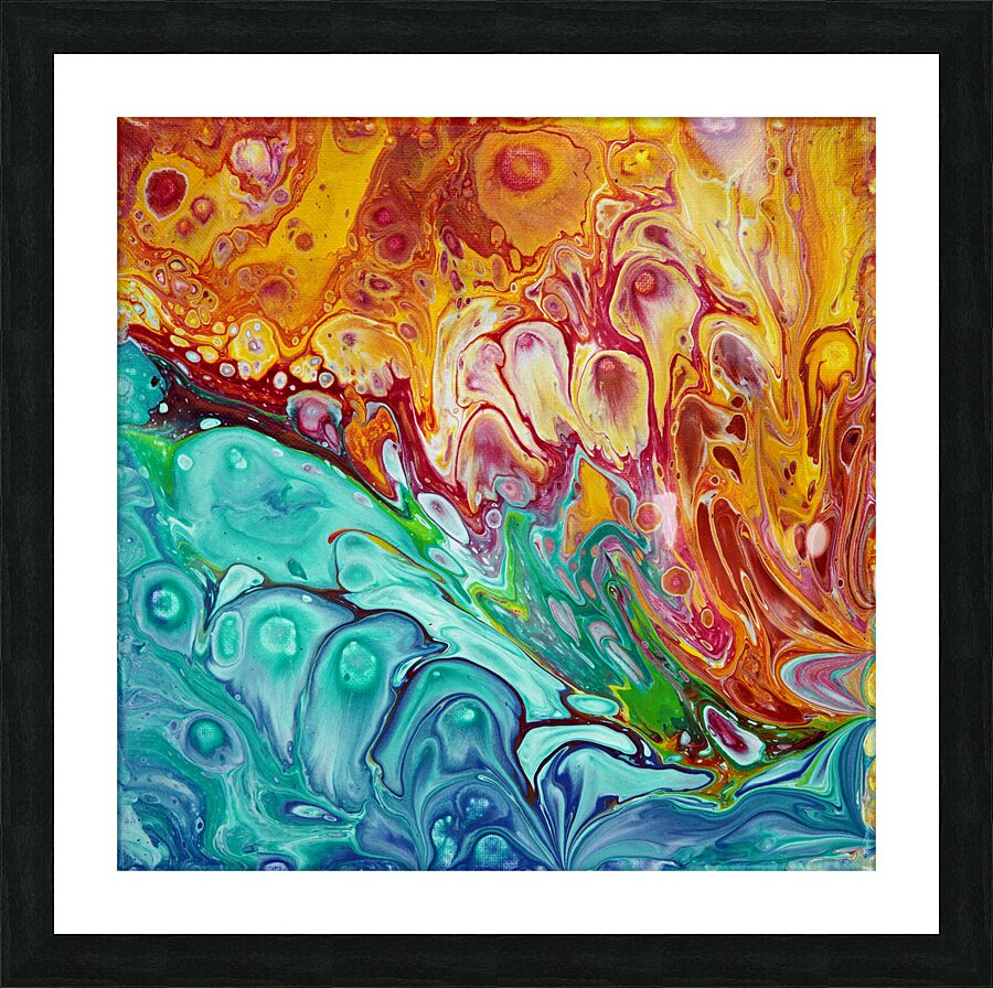 Dolphin Race Picture Frame print