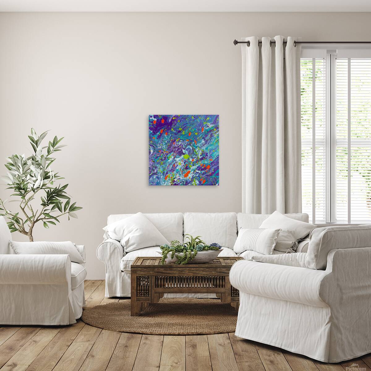 Coy Pond Reproduction